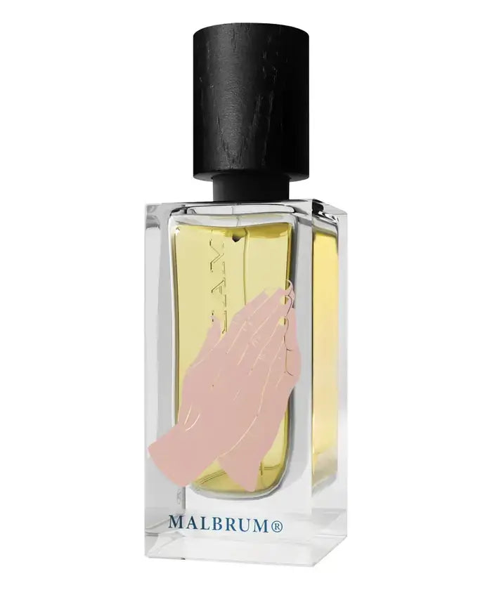Here Comes The Son - Malbrum