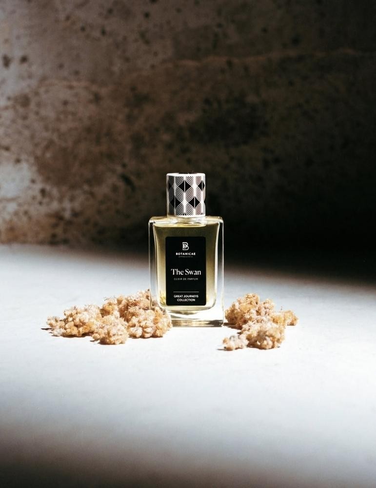The Swan – Botanicae