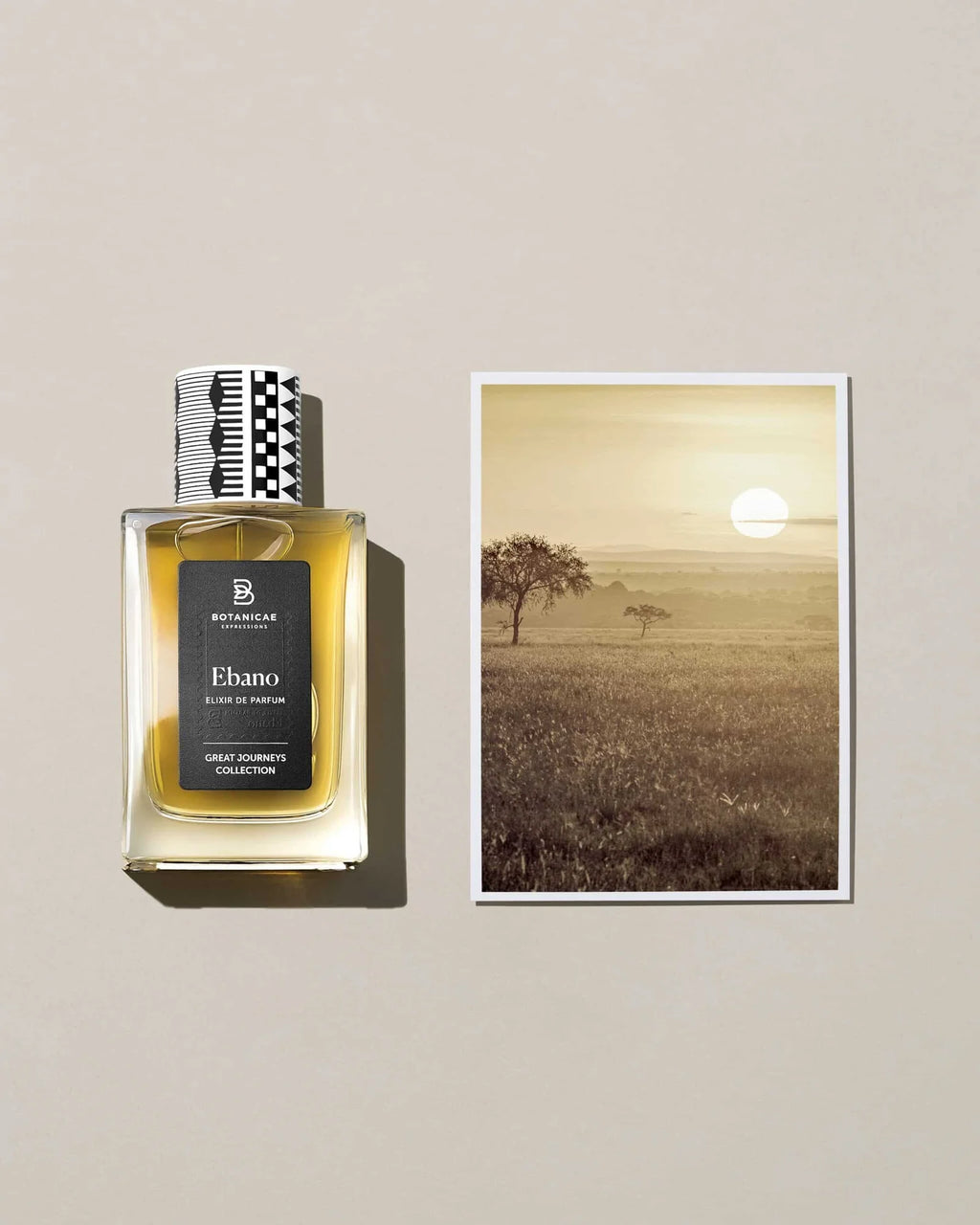 Ebano – Botanicae