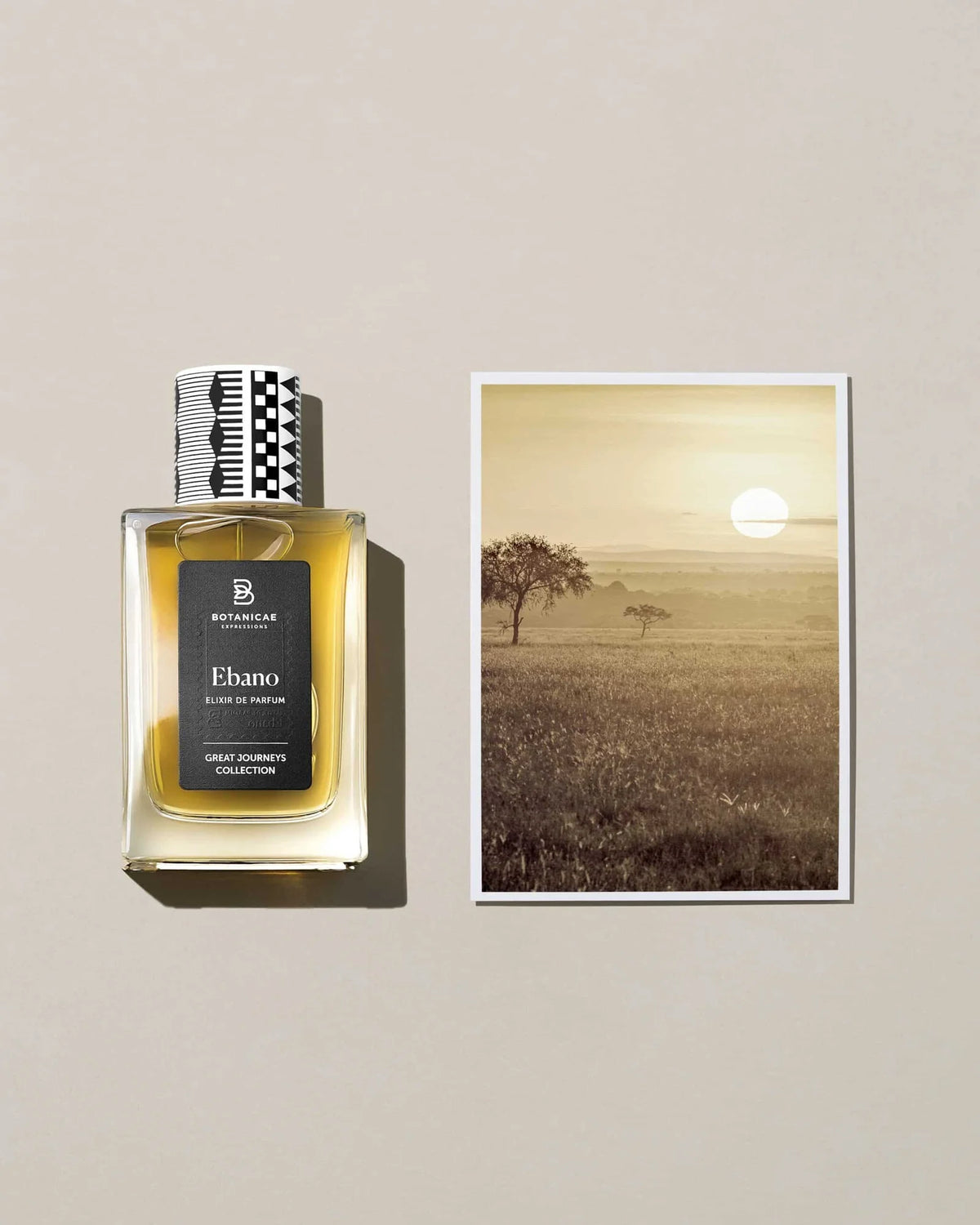 Ebano – Botanicae