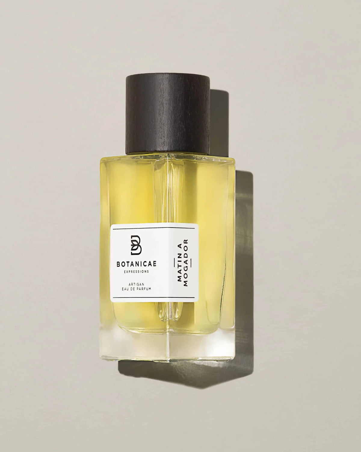 Matin a Mogador – Botanicae
