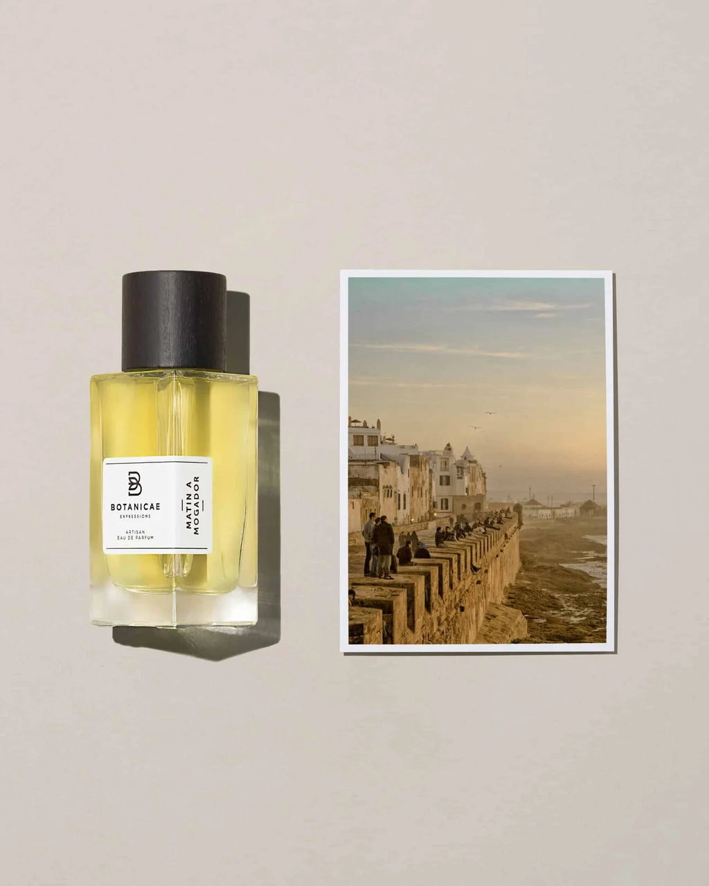 Matin a Mogador – Botanicae