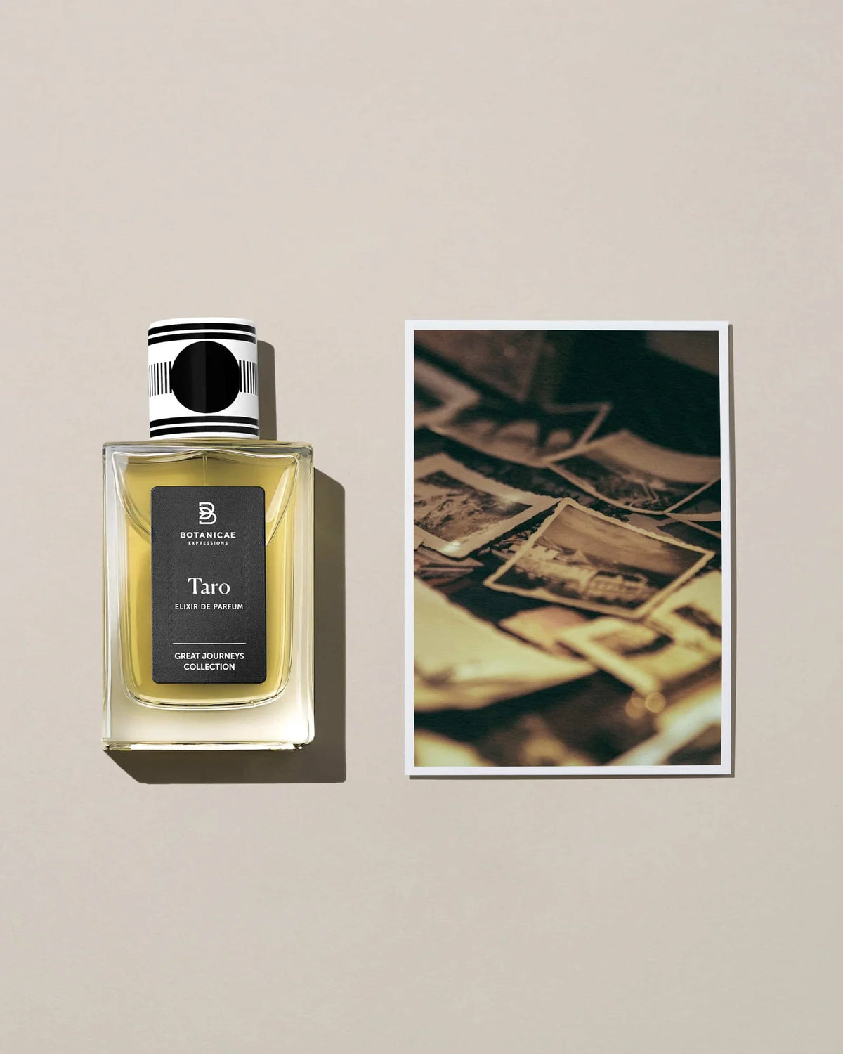 Taro – Botanicae