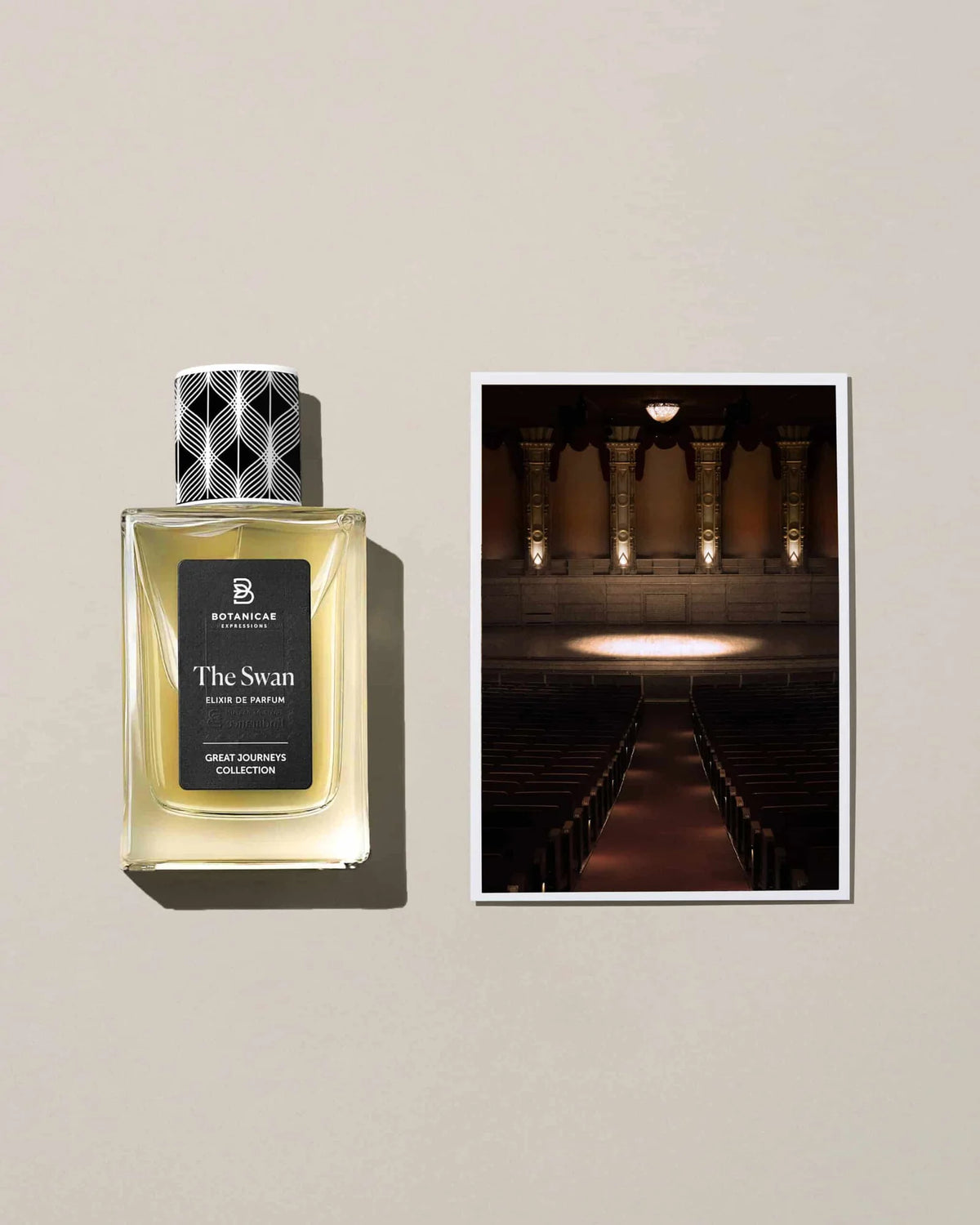 The Swan – Botanicae